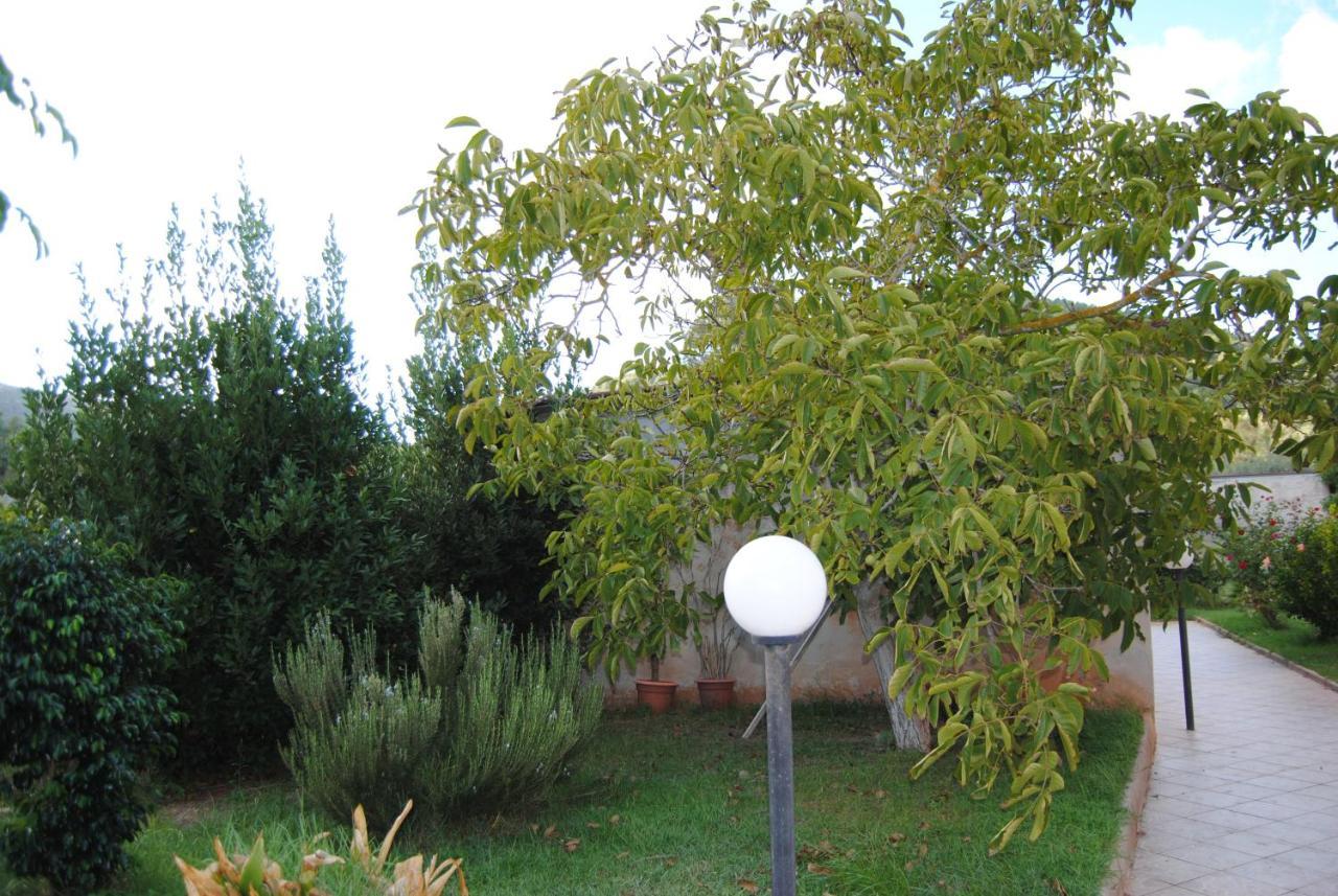 B&B Arenosu25 Alghero Dış mekan fotoğraf